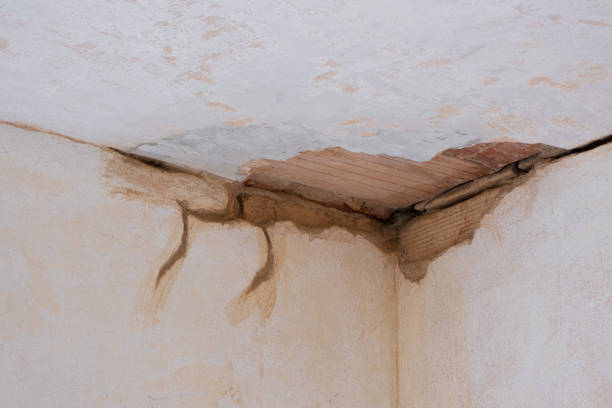 Best Ceiling water damage repair  in University Park, NM