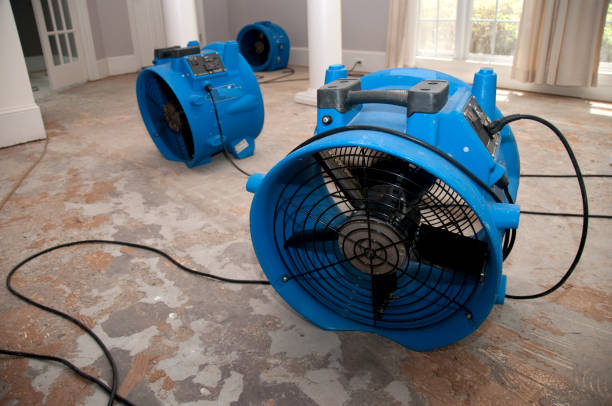 Best 24-hour water damage restoration  in University Park, NM