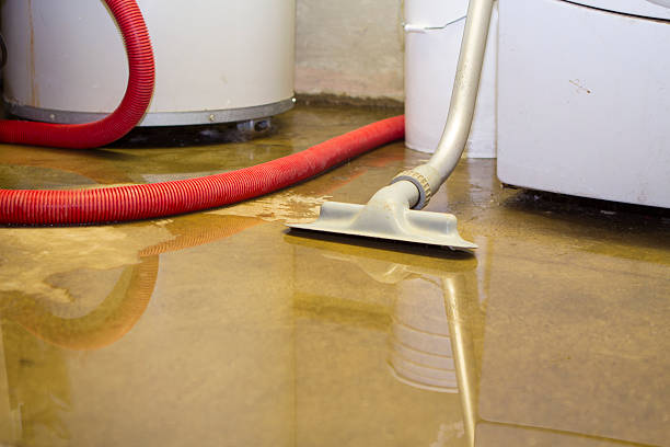 Reliable University Park, NM Water damage restoration Solutions