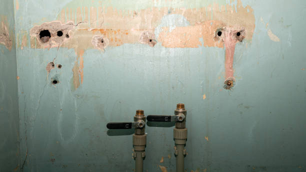 Best Basement water damage restoration  in University Park, NM