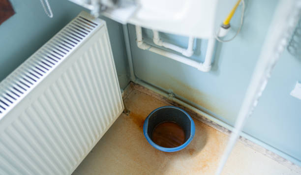 Best Water damage restoration near me  in University Park, NM