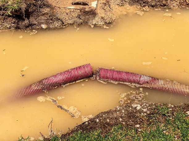  University Park, NM Water damage restoration Pros