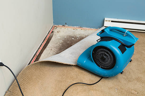 Water damage restoration process in University Park, NM